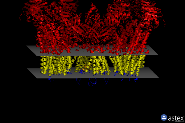 Membrane view of 5yw8