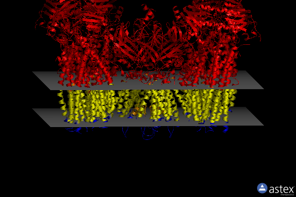 Membrane view of 5ywc