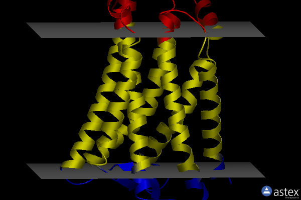 Membrane view of 5ywy