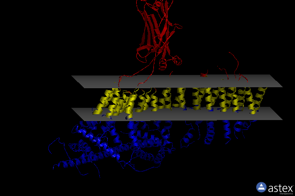 Membrane view of 5z10