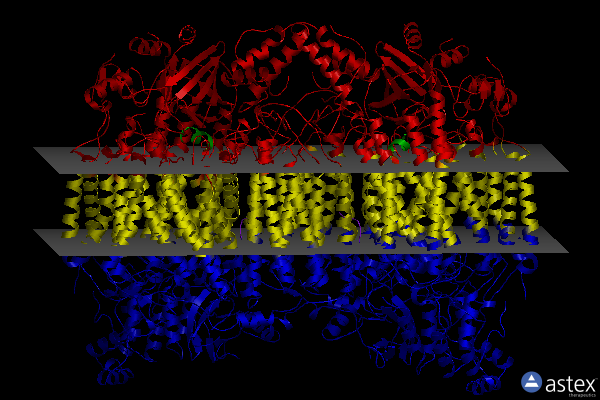 Membrane view of 5z86