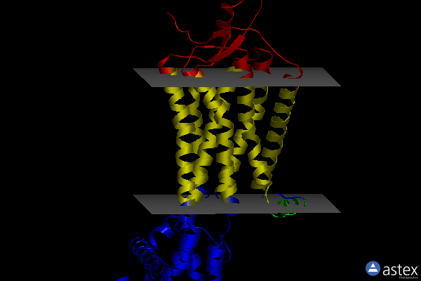 Membrane view of 5zbq