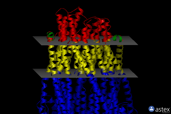 Membrane view of 5zfu