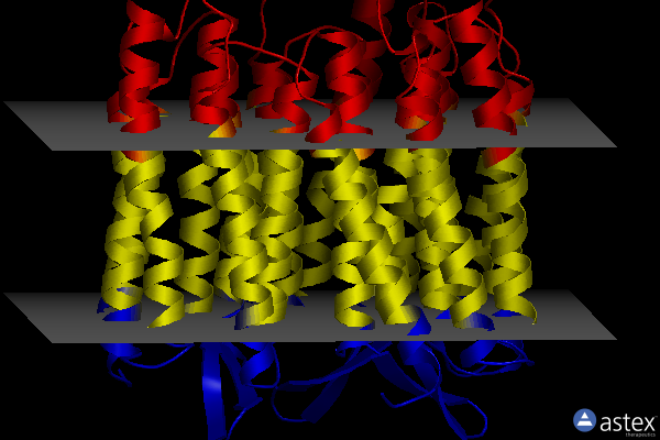 Membrane view of 5zil