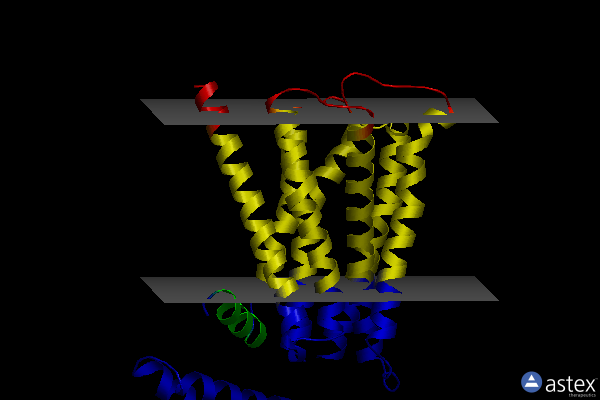 Membrane view of 5zk3