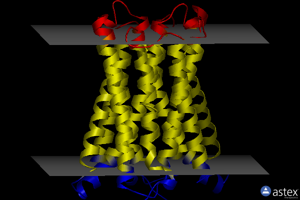 Membrane view of 5zlg