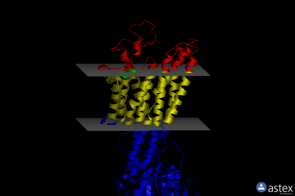 Membrane view of 5zmw