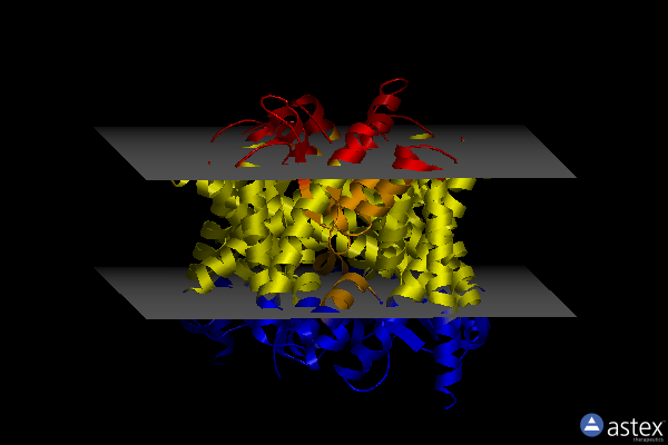 Membrane view of 5zov