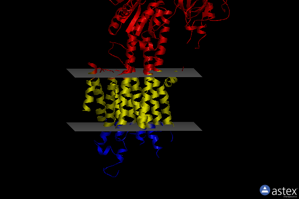 Membrane view of 5ztf