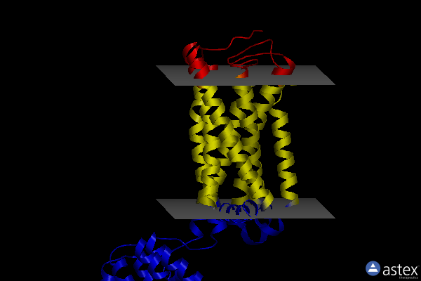 Membrane view of 5zty