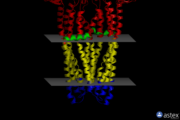 Membrane view of 6a6n