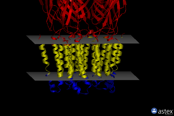 Membrane view of 6a96