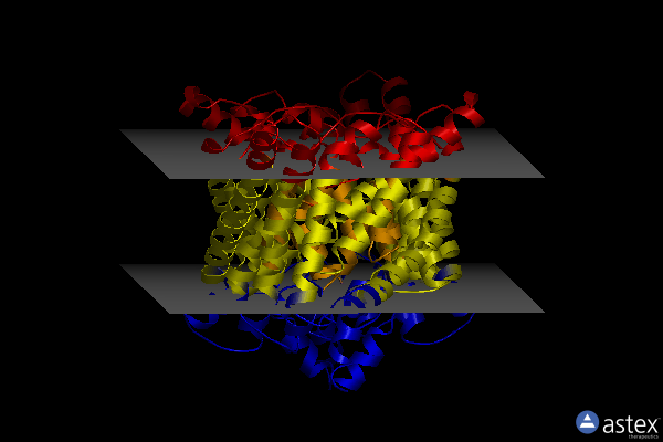 Membrane view of 6ada