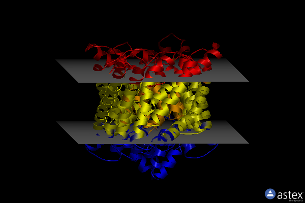 Membrane view of 6adb