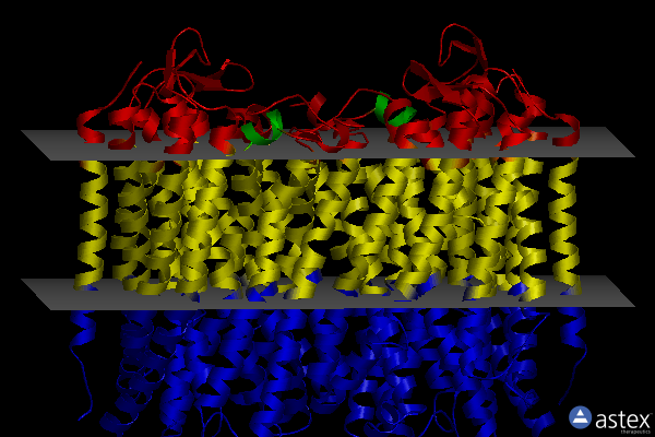 Membrane view of 6afs