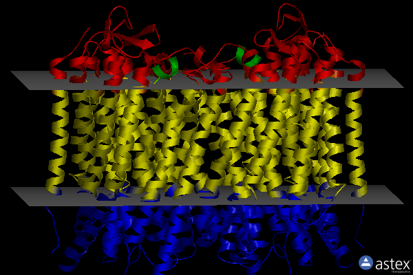 Membrane view of 6aft