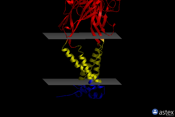 Membrane view of 6ah4