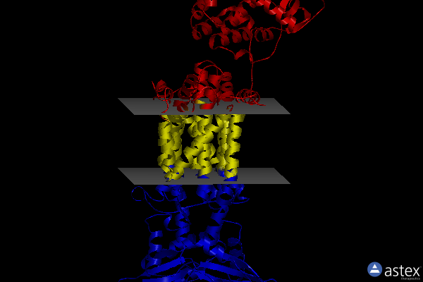 Membrane view of 6ajg