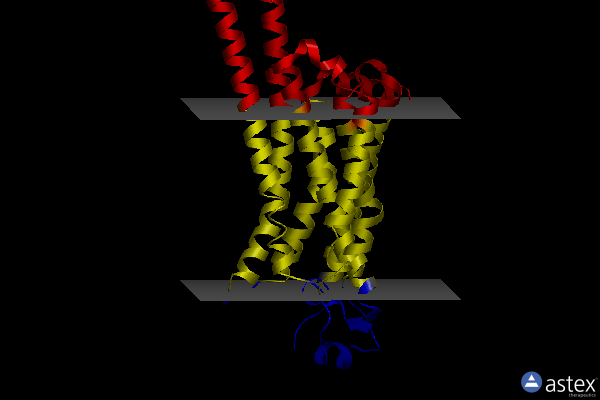 Membrane view of 6aqf