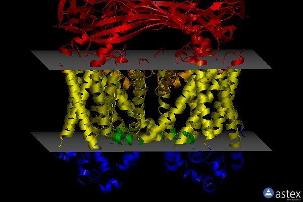 Membrane view of 6ayg