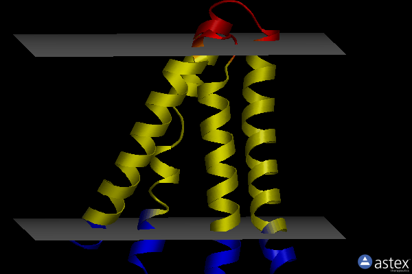 Membrane view of 6b2b