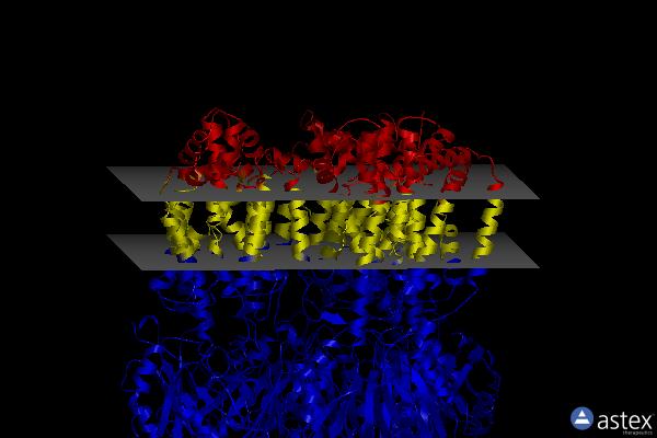 Membrane view of 6baj