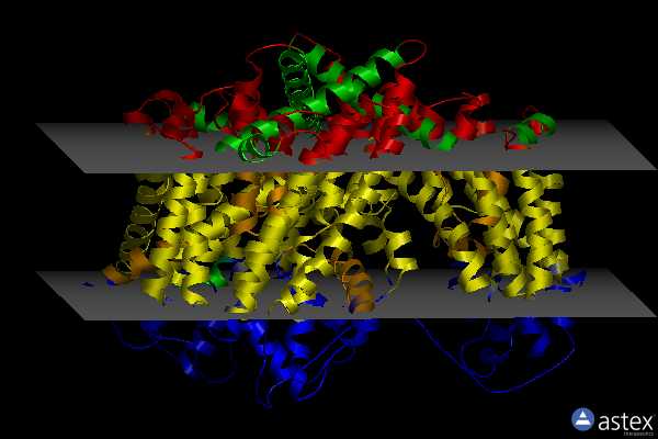 Membrane view of 6bat