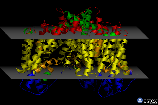 Membrane view of 6bav