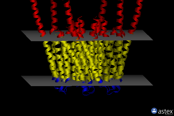 Membrane view of 6bbg