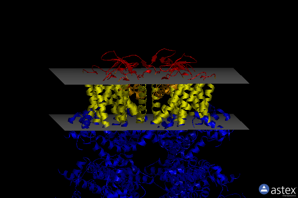 Membrane view of 6bco