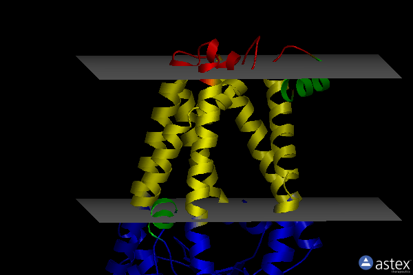Membrane view of 6bh8
