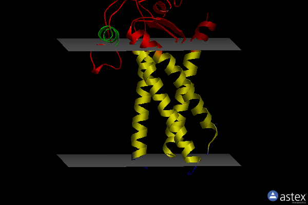 6bms