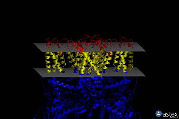 Membrane view of 6bo4