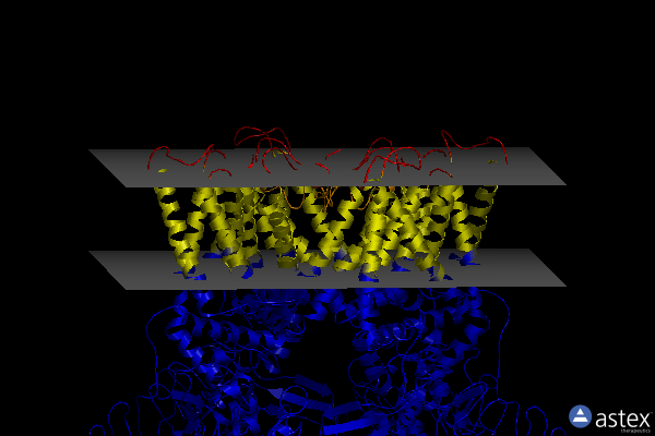 Membrane view of 6bo5