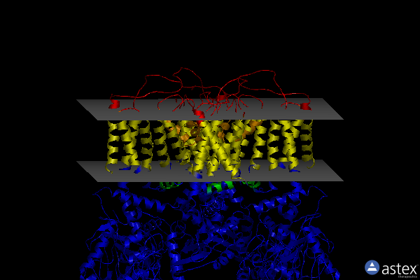 Membrane view of 6bo8