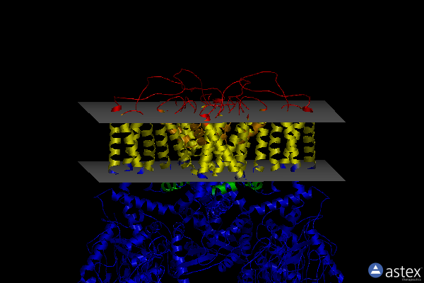 Membrane view of 6bo9