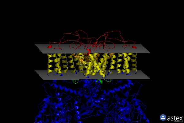 Membrane view of 6boa