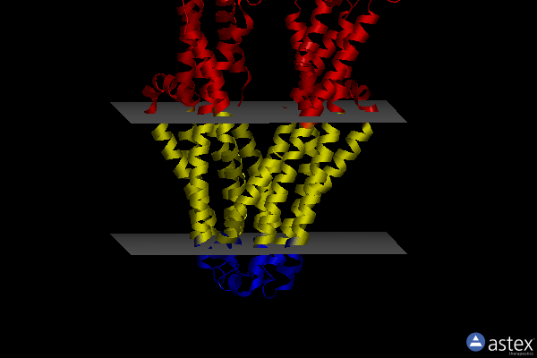 Membrane view of 6bpp