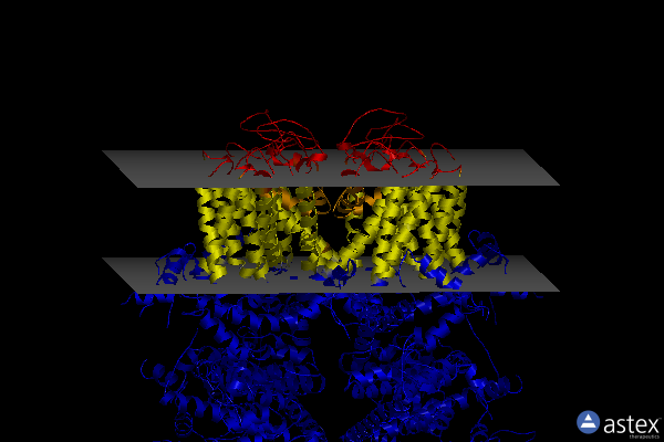Membrane view of 6bqr