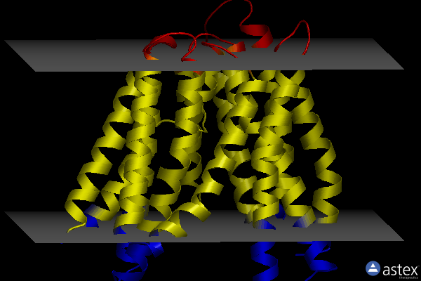 Membrane view of 6btx