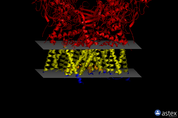 Membrane view of 6bwm