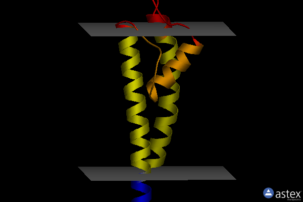Membrane view of 6by2