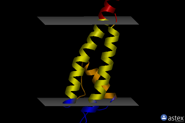 Membrane view of 6by3