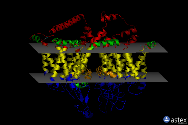 Membrane view of 6byo
