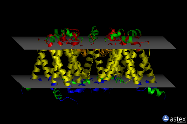 Membrane view of 6c1m