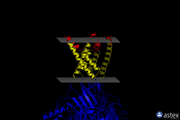 Membrane view of 6cmc