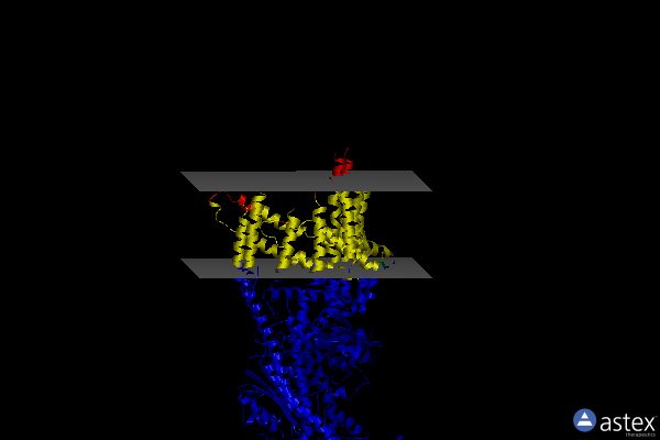 Membrane view of 6cp6