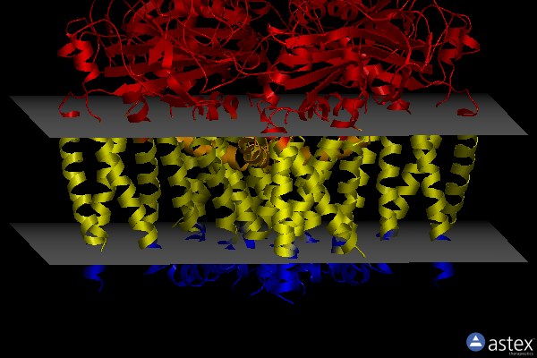 Membrane view of 6d1w