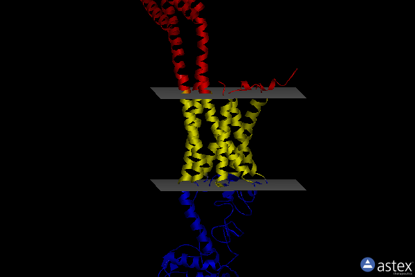 Membrane view of 6d32