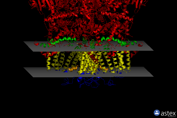 Membrane view of 6d73